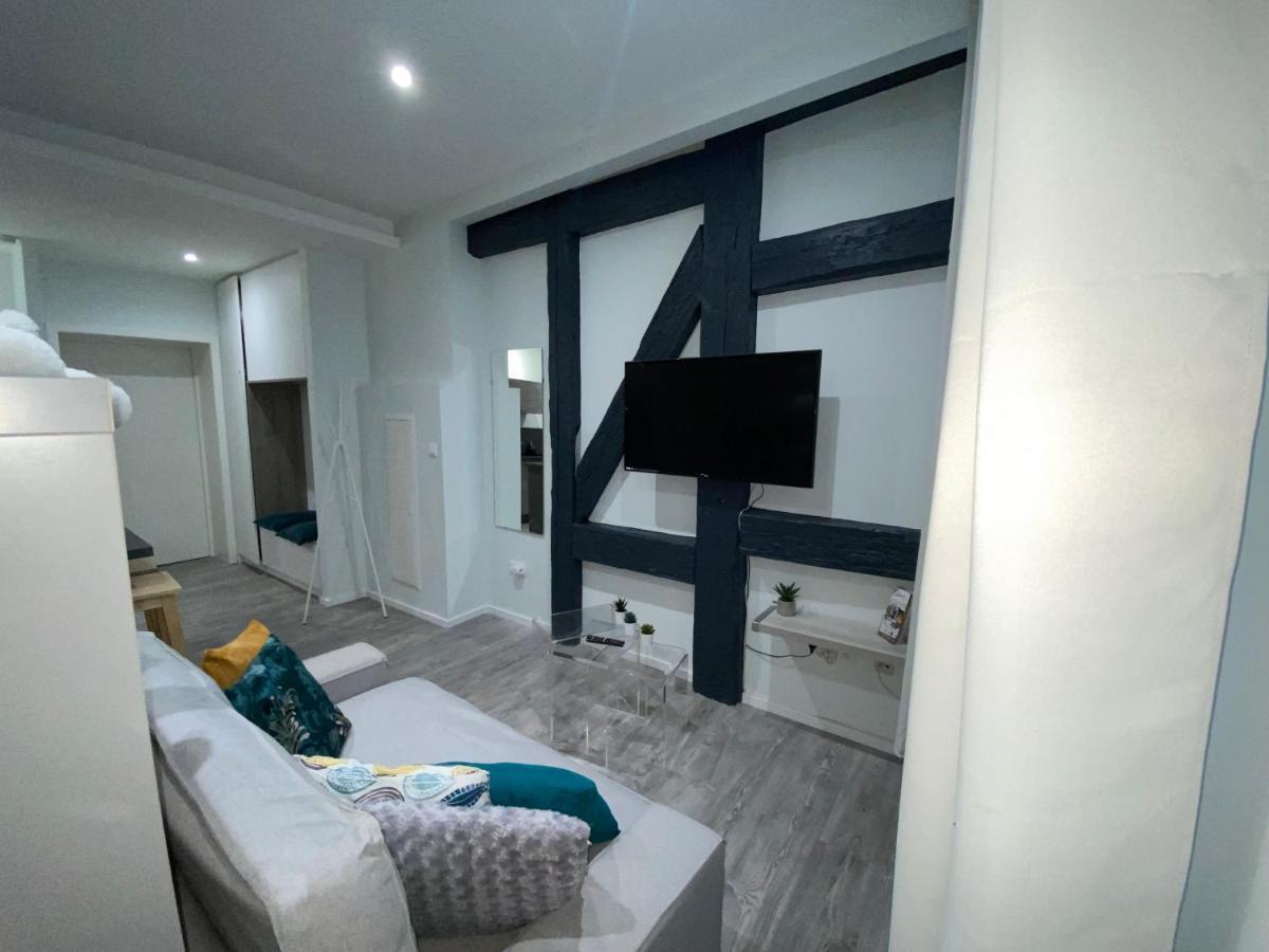 Le Muscat Apartment Colmar Exterior photo
