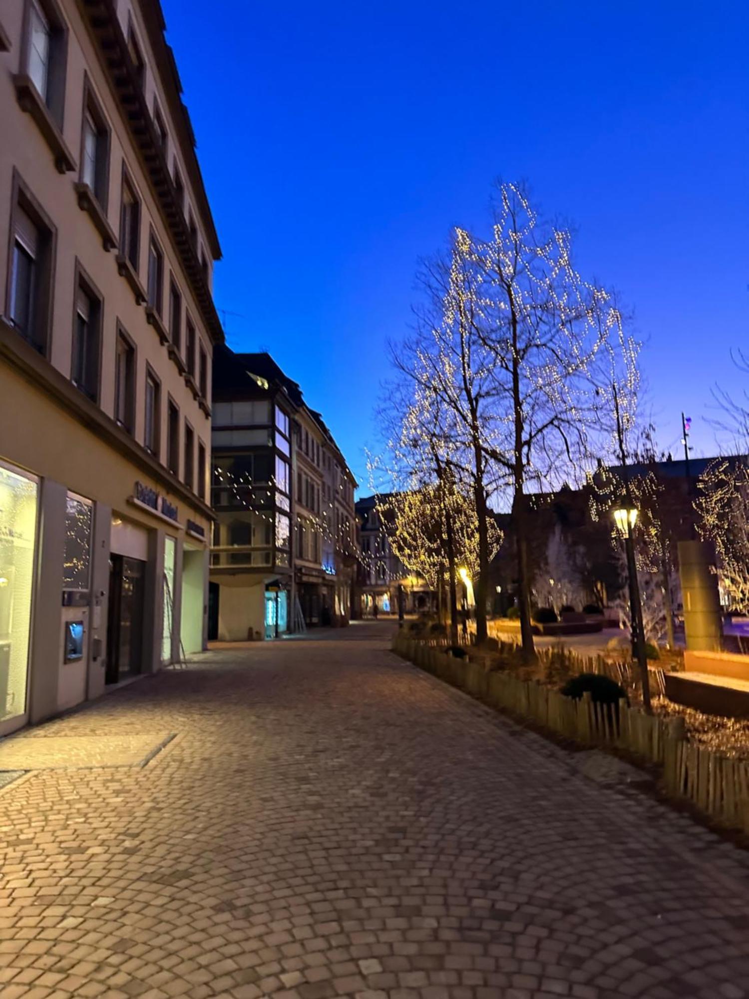 Le Muscat Apartment Colmar Exterior photo