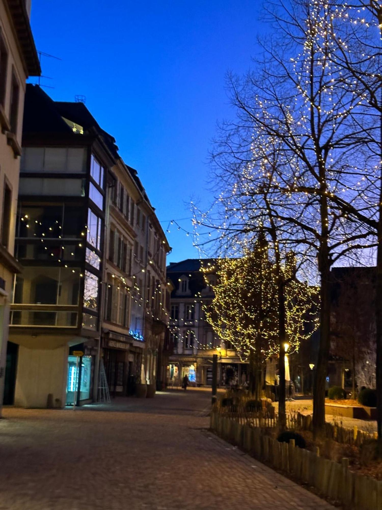 Le Muscat Apartment Colmar Exterior photo